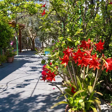 Appartamento Aurum *